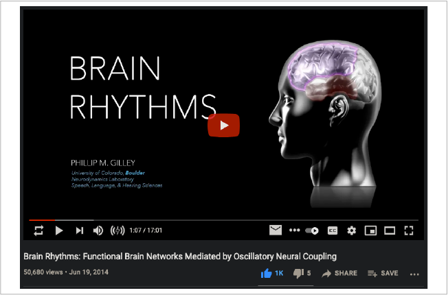 slide02_BrainRhythms
