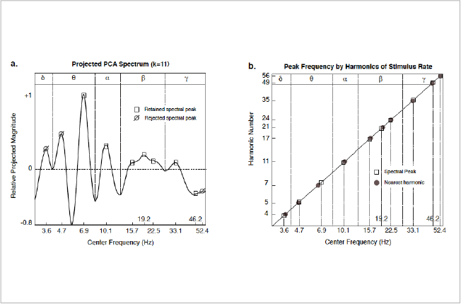slide17_HarmonicOscillation