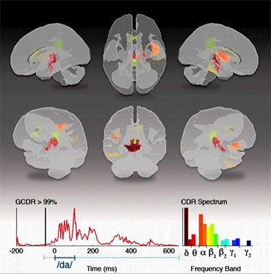 Current density reconstruction animation