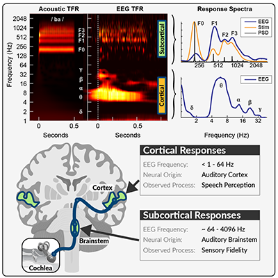 Time-frequency reconstruction of brainwave activity
